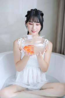 狮子王2